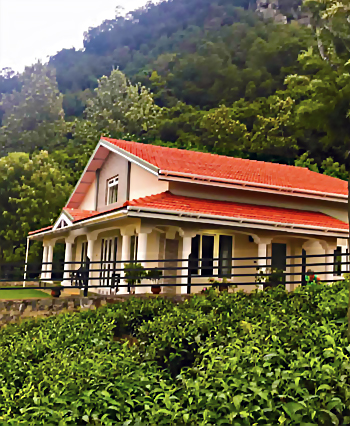 Experience Tranquility Farview Mountain Resort, Where Nature Meets Luxury in Kotagiri