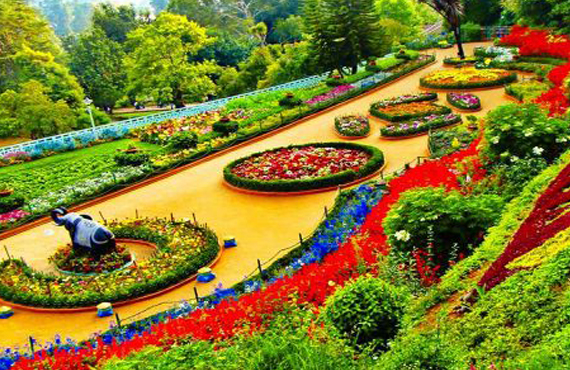 Botanical Garden at Farview Mountain Resorts Nature's Tapestry Unveiled in Ooty