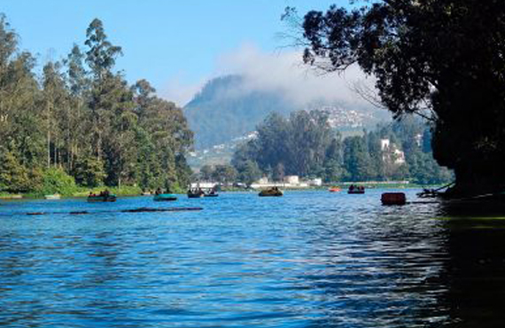 Ooty Lake at Farview Mountain Resorts Serene Waterside Escape Amidst Natural Splendor