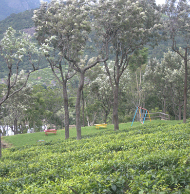 Play Recreation for Relaxation and Enjoyment in Kotagiri