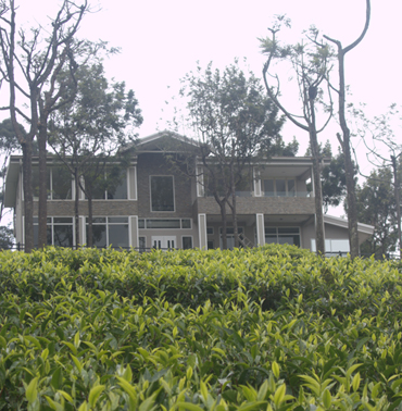 Farview Mountain Resort's Tea Gardens: Aromatic Delights Await in Kotagiri