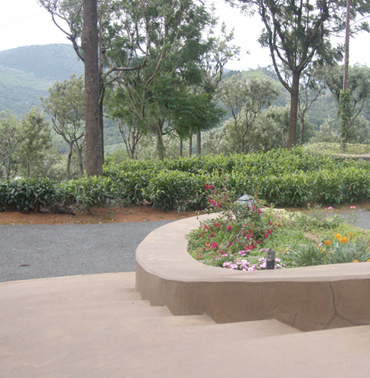 Scenic Tea Plantations of Farview Mountain Resort: Serenity in Every Sip in Kotagiri