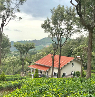 Breathtaking Views from the Back of Villa 1 at Farview Mountain Villas in Kotagiri